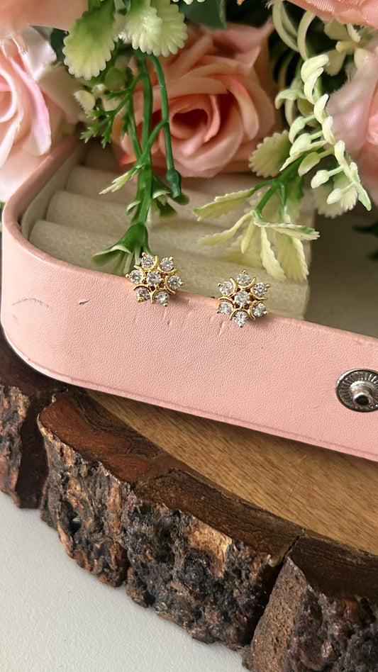 Panchaloham Polished Shimmer Burst Earrings